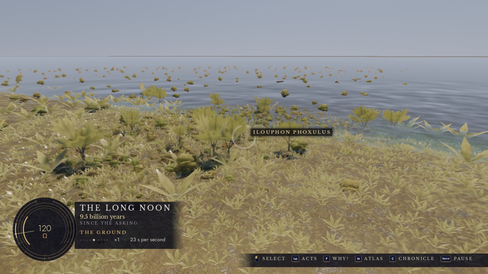 A river through grassland on a living world